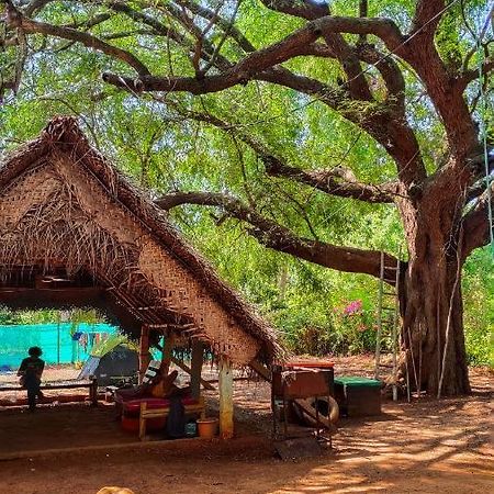 Travellers Tribe By Livelehood Habitat Vandrehjem Auroville Eksteriør billede