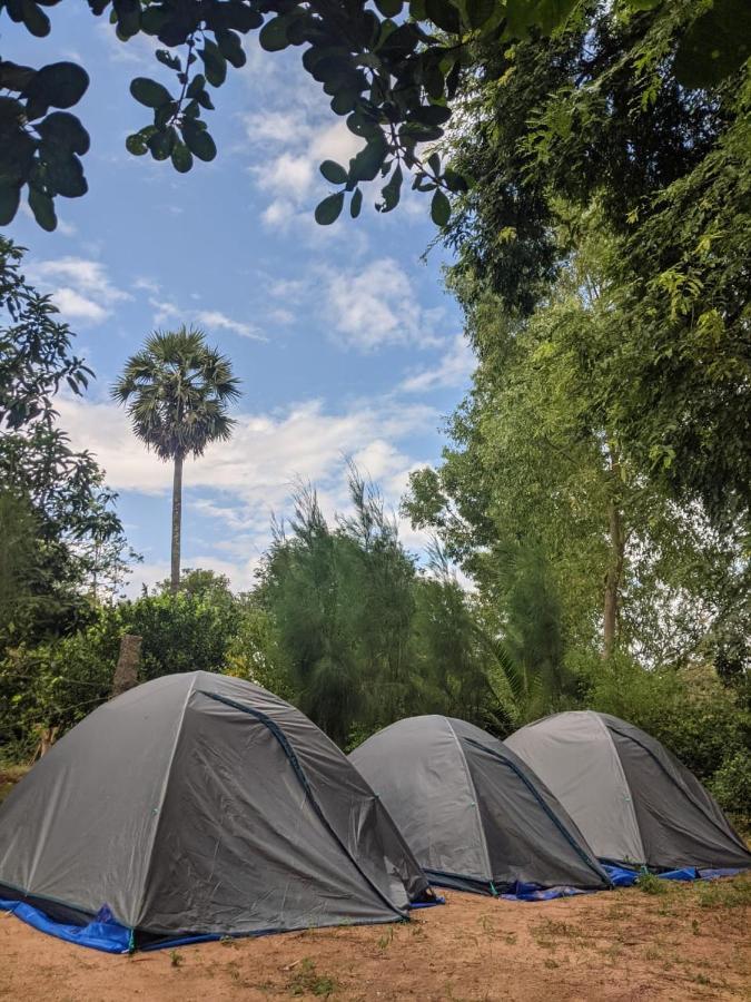 Travellers Tribe By Livelehood Habitat Vandrehjem Auroville Eksteriør billede