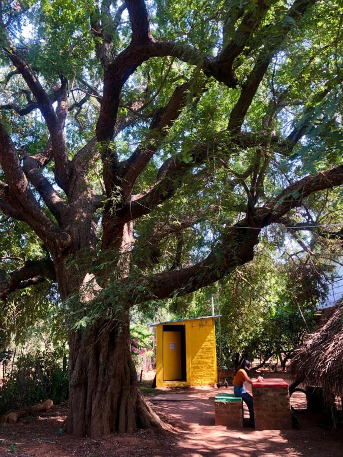 Travellers Tribe By Livelehood Habitat Vandrehjem Auroville Eksteriør billede